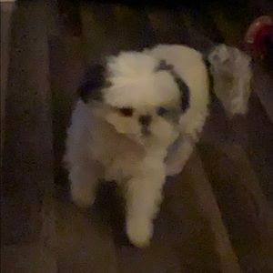 Meet your Posher, Jamie